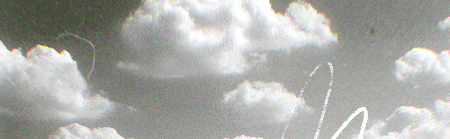 company cover image